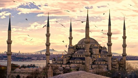 Стамбул, город, султанахметская мечеть, индейка