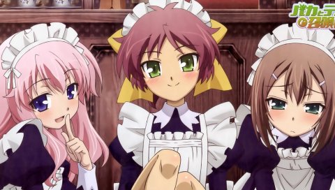Бака, чтобы испытать на shoukanjuu hazuki, девушка, красивая, горничные, жест