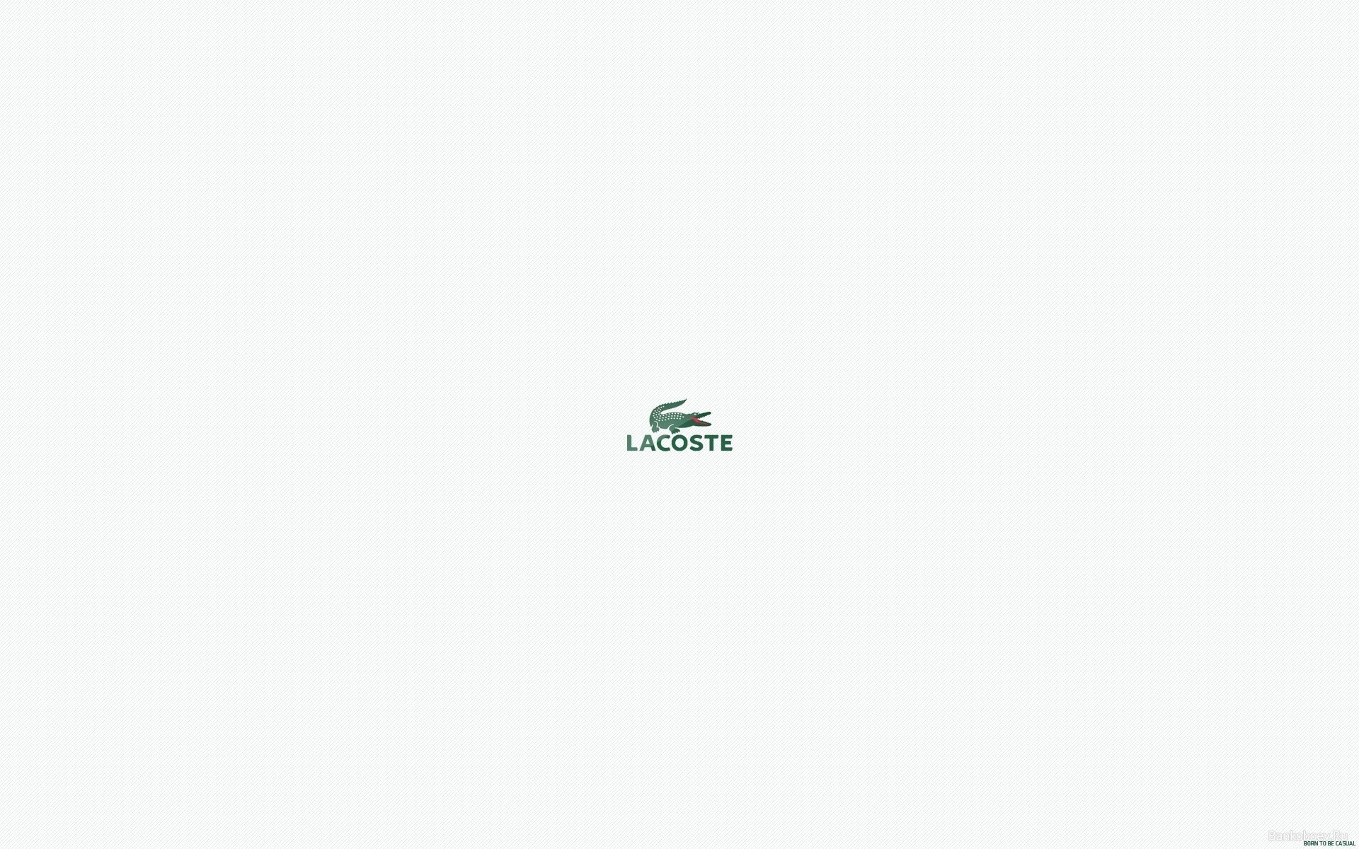Картинки Lacoste, крокодил, логотип, символ, бренд фото и обои на рабочий стол