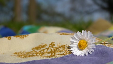 Ромашка, цветок, ткань, природа