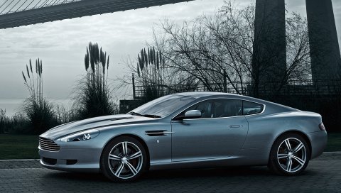Aston martin, db9, 2008, серый, вид сбоку, стиль, автомобили, природа, дерево