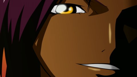 Аниме, shihouin yoruichi, лицо, улыбка, взгляд