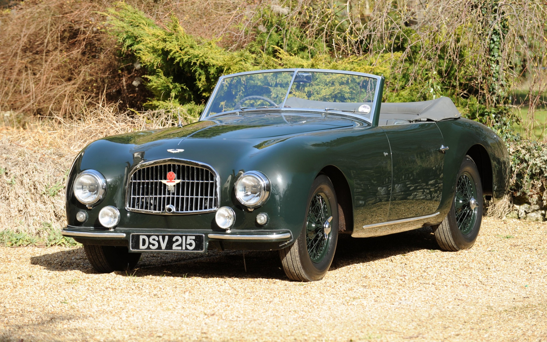 Картинки Aston martin, 1952, ретро, ??зеленый, вид спереди, стиль, автомобили, трава, кустарники фото и обои на рабочий стол