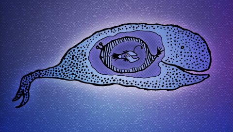 Дельфин, море, вектор