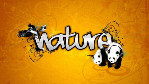 Природа, панда, вектор