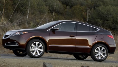 Acura, zdx, 2009, коричневый, вид сбоку, стиль, автомобили, природа, кустарники, трава