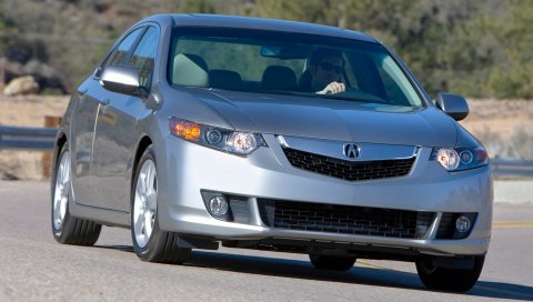 Acura, tsx, 2008, серый металлик, вид спереди, стиль, автомобили, природа, дерево, асфальт