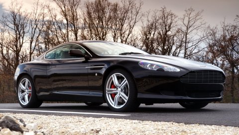 Aston martin, db9, 2006, черный, вид сбоку, стиль, автомобили, спорт, деревья, небо