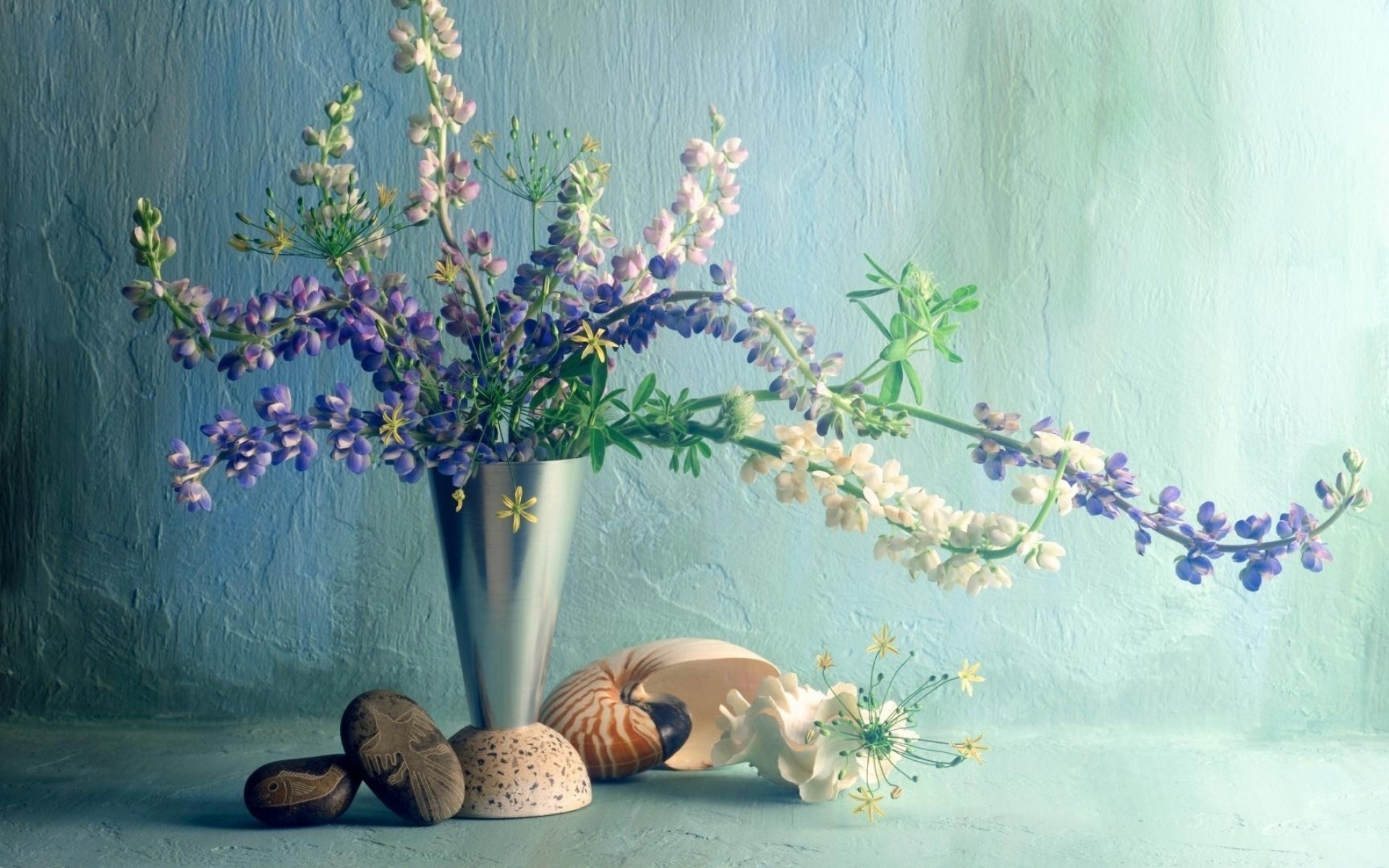 Картинки Люпин, цветок, ваза, стена, раковина фото и обои на рабочий стол