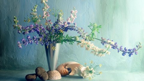 Люпин, цветок, ваза, стена, раковина