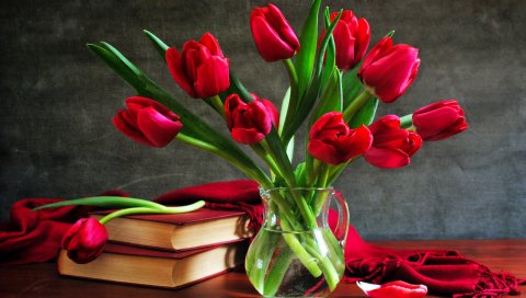 Тюльпаны, цветы, ваза, книги, лепесток, плащ, стол