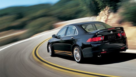 Acura, tsx, 2006, черный, вид сзади, стиль, автомобили, скорость, деревья, природа, асфальт