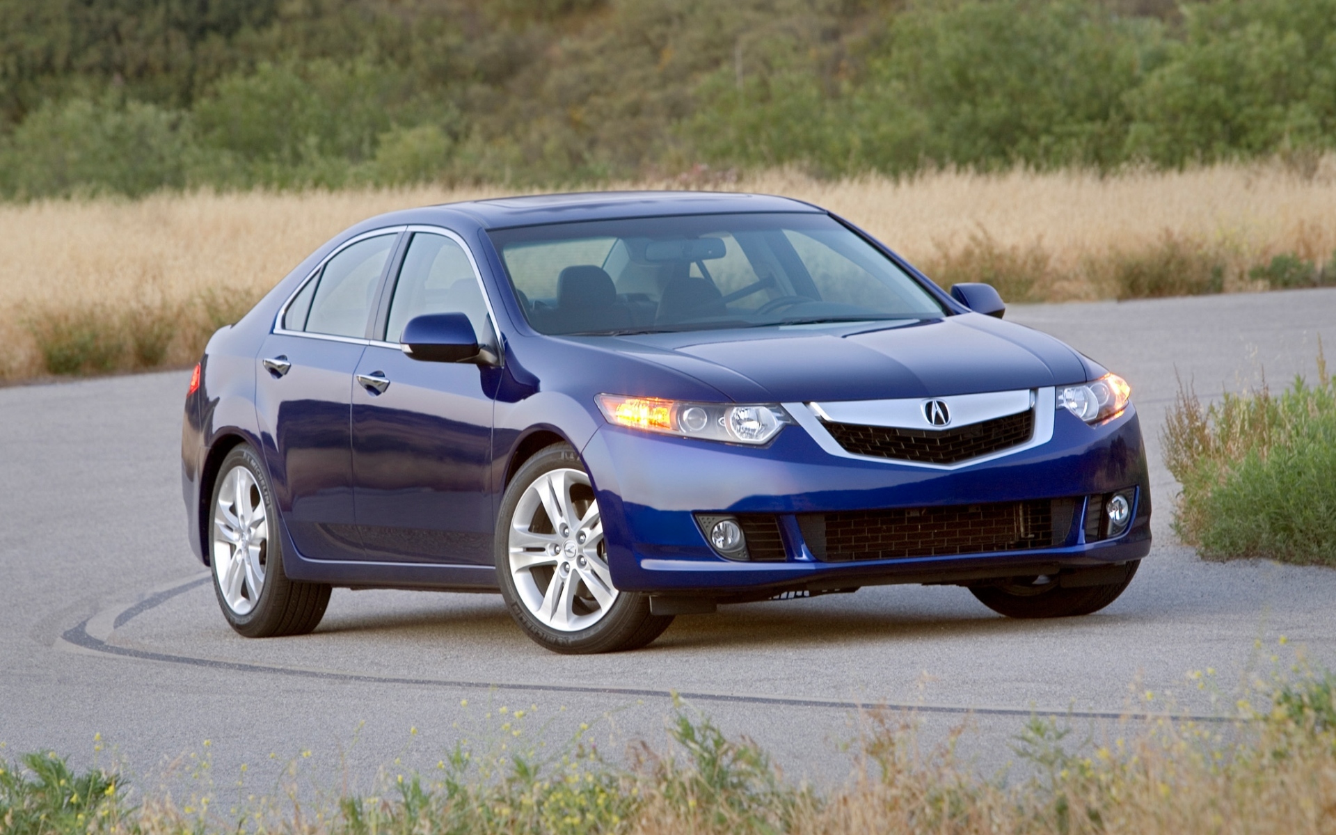 Картинки Acura, tsx, v6, 2009, синий, вид спереди, стиль, автомобили, природа, трава, деревья, кустарники, асфальт фото и обои на рабочий стол