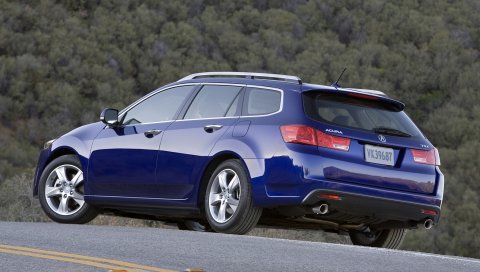 Acura, tsx, 2010, синий, вид сбоку, стиль, автомобили, природа, лес