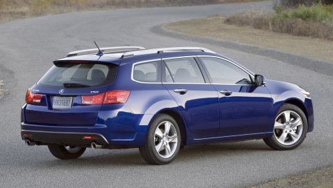 Acura, tsx, 2010, синий, вид сбоку, стиль, автомобили, кустарники, асфальт