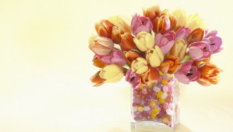 Тюльпаны, цветы, ваза, камень, декоративные