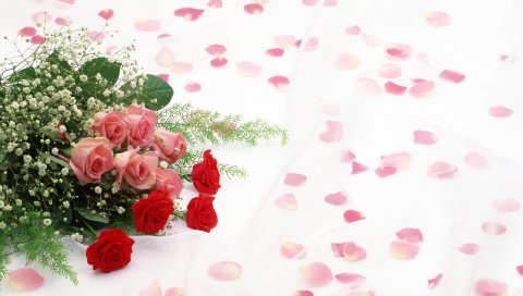 Розы, цветы, цветок, лепестки, романтика