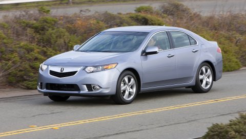 Acura, tsx, 2010, синий, вид сбоку, стиль, автомобили, скорость, облака, кусты, дорога