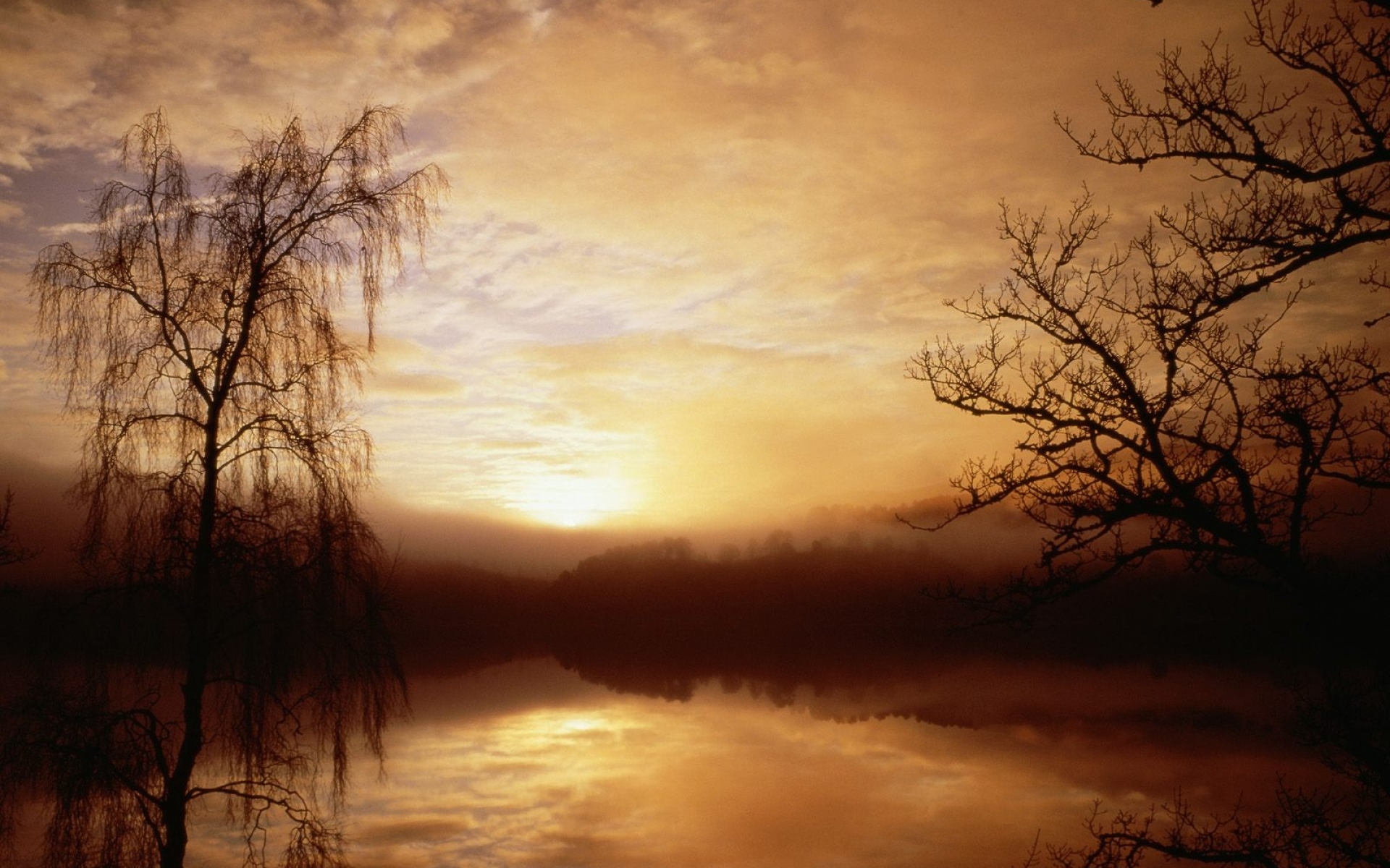 Картинки Утро, туман, озеро, деревья, рассвет, очертания фото и обои на рабочий стол