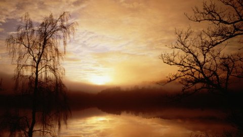 Утро, туман, озеро, деревья, рассвет, очертания
