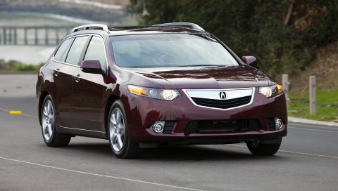 Acura, tsx, 2010, cherry, вид спереди, стиль, автомобили, природа, деревья, скорость, асфальт