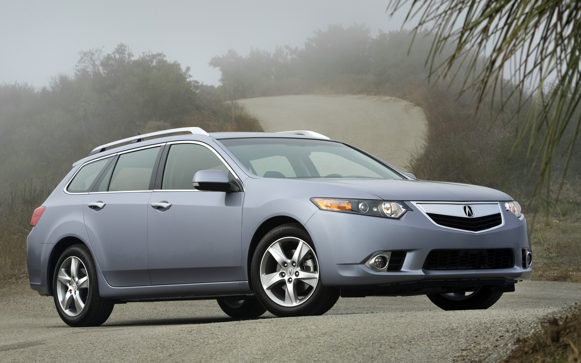 Картинки Acura, tsx, 2010, синий, вид сбоку, стиль, автомобили, природа, кустарники, деревья фото и обои на рабочий стол