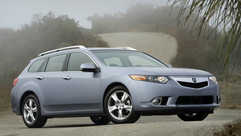 Acura, tsx, 2010, синий, вид сбоку, стиль, автомобили, природа, кустарники, деревья