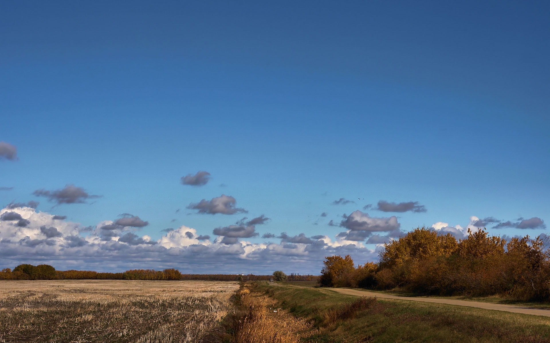 Картинки Поле, дорога, деревья, облака, сельское хозяйство, осень фото и обои на рабочий стол
