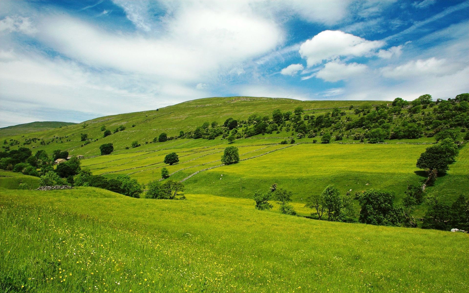 Картинки Долины, луга, зеленый, склоны, трава, деревья, небо, синий фото и обои на рабочий стол