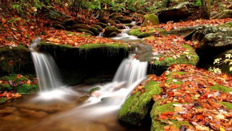 Осень, листья, мох, камни, вода, лес, река, источник