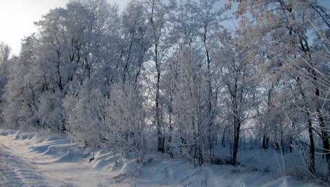 Иней, деревья, дорога, придорожный, снег, зима