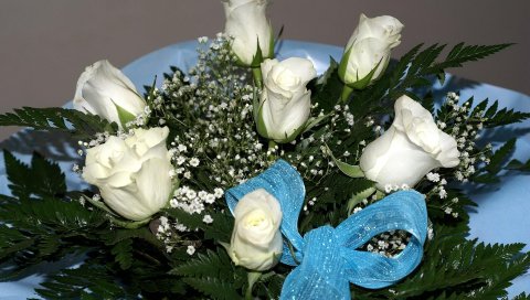Розы, цветы, цветок, лента, упаковка, зеленый