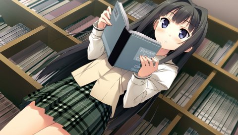 Девушка, брюнетка, книга, библиотека, интерес