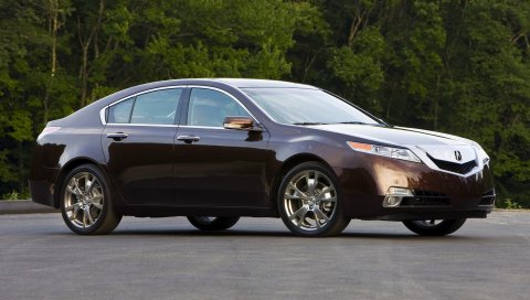Acura, tl, 2008, бордовый, вид сбоку, стиль, автомобили, деревья, асфальт