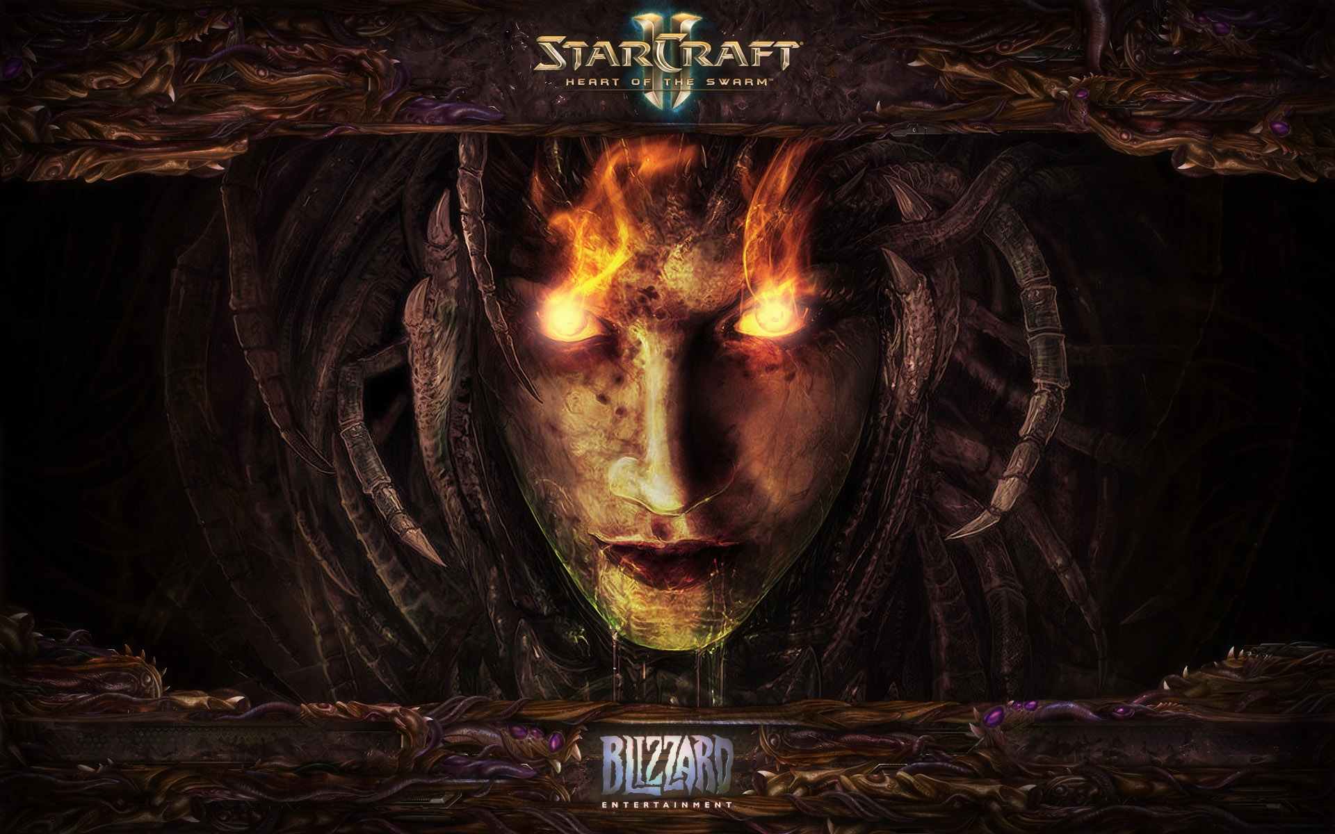 Картинки Starcraft, характер, девушка, лицо, взгляд фото и обои на рабочий стол
