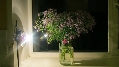 Цветы, букет, банк, коробка, вечер, свет, тень