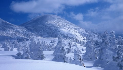 Горы, снег, сугробы, деревья, обложка, белый, вуаль