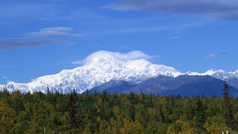 Горы, лес, деревья, облака, лето, снег, хвойные