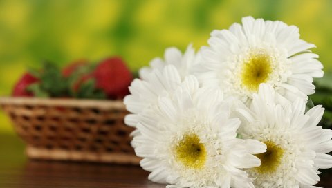 Ромашки, цветы, букет, стол, корзина