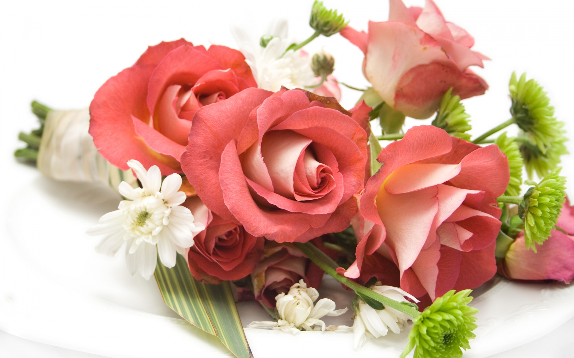 Картинки Розы, цветы, цветы, красота фото и обои на рабочий стол