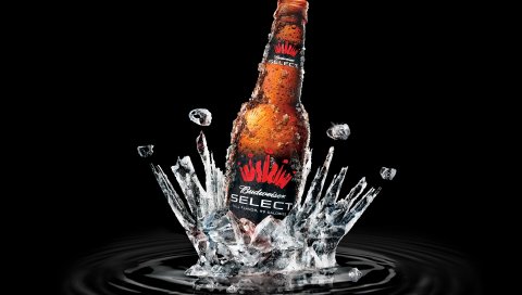 Выбор budweiser, пиво, бренд, напиток, спрей, бутылка
