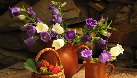 Цветы, кувшины, клубника, корзина, камень, стол