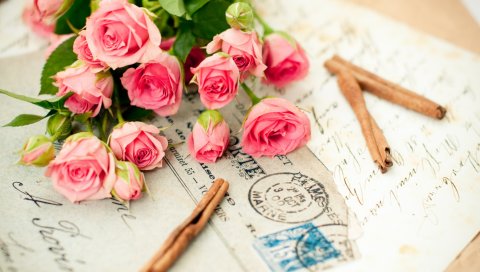 Розы, цветы, букет, письмо, корица