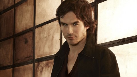 Ia somerhalder, знаменитость, актер, борода, брюнетка, глаза, стена