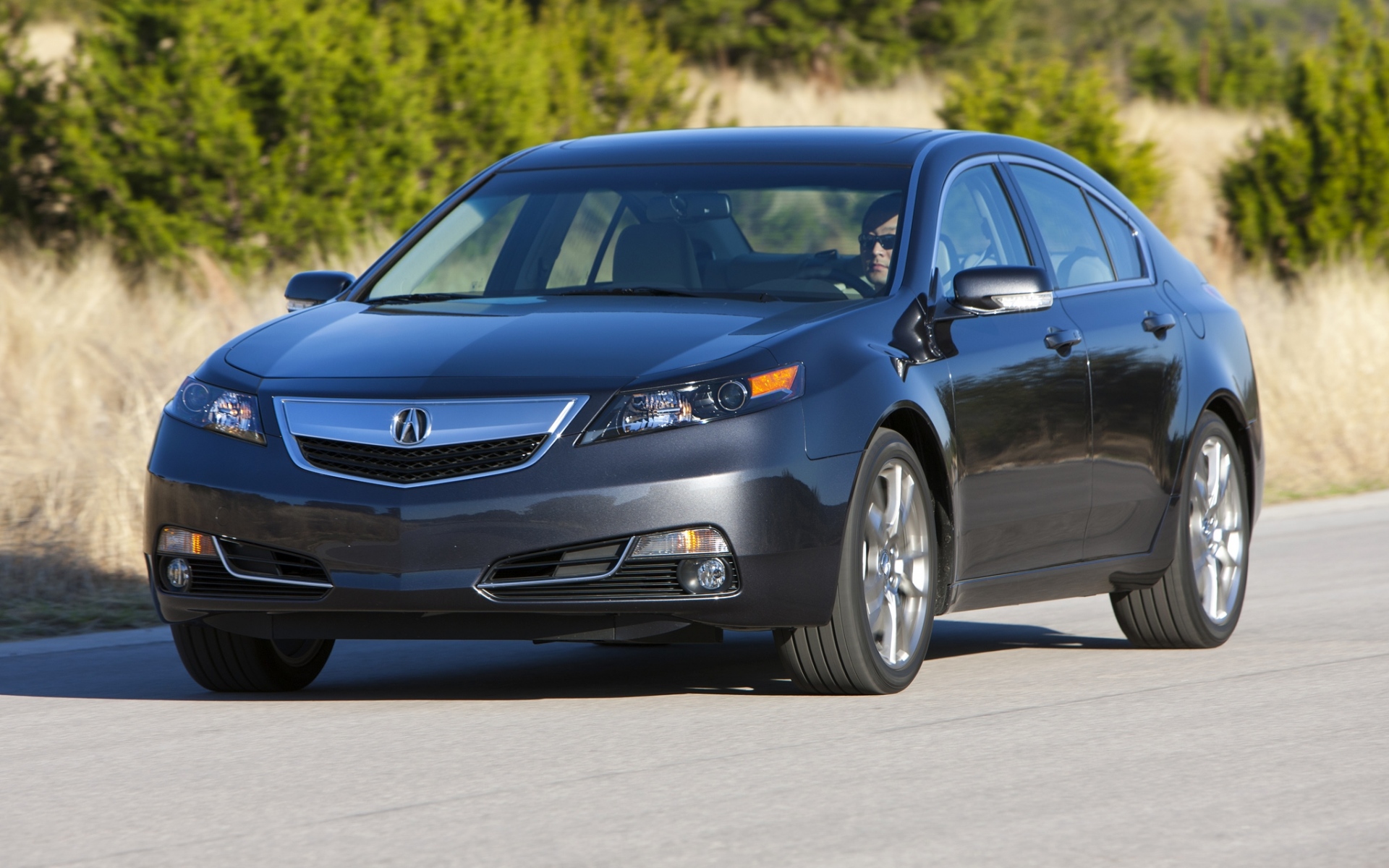 Картинки Acura, tl, 2011, синий, вид спереди, стиль, автомобили, природа, деревья, асфальт фото и обои на рабочий стол