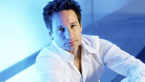David duchovny, актер, мужчина, рубашка, неон, свет, брюнетка