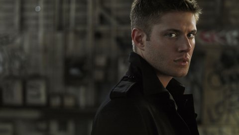 Jensen ackles, знаменитость, лицо, волосы, милый, тень
