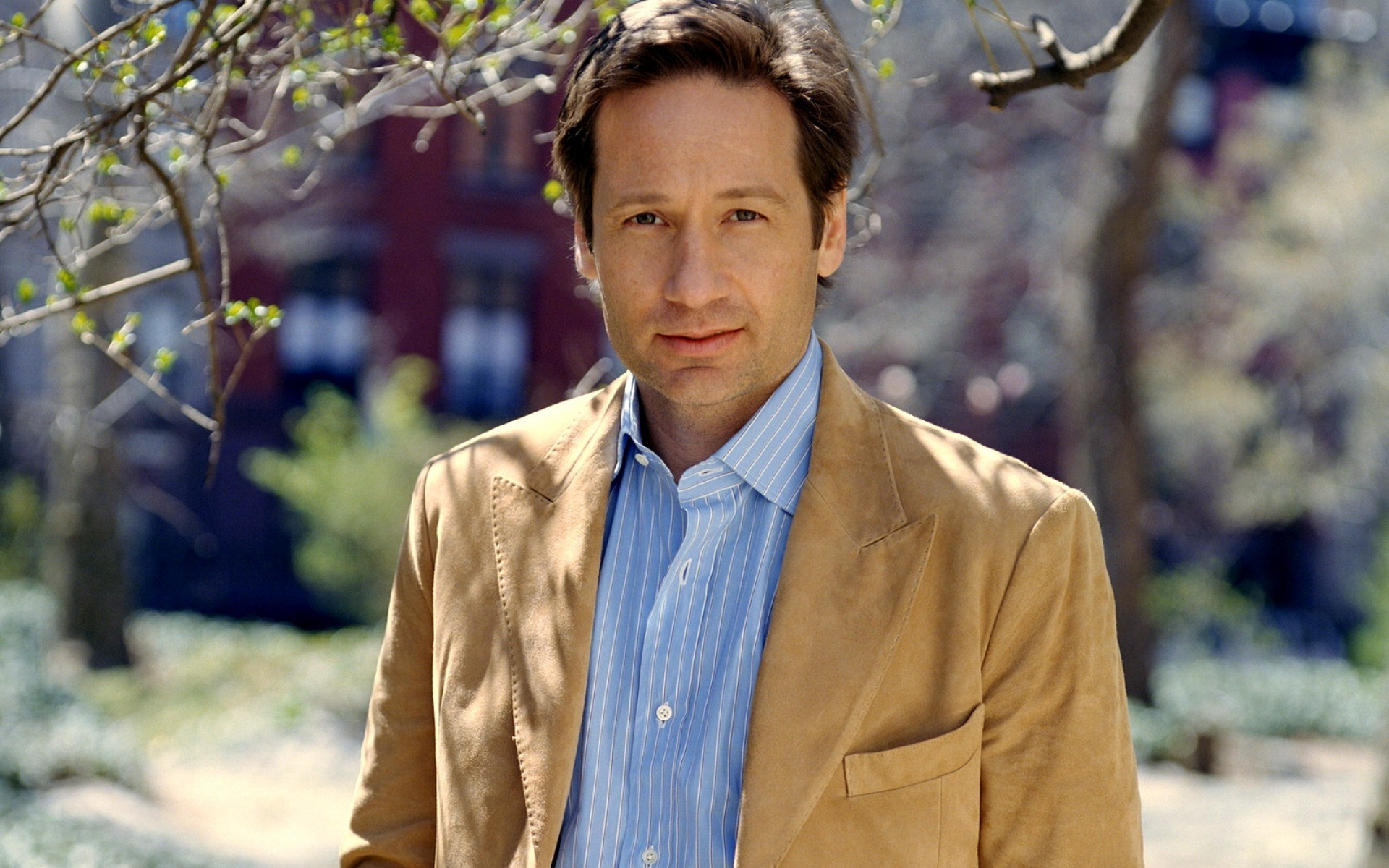 Картинки David duchovny, мужчина, актер, брюнет, куртка, рубашка фото и обои на рабочий стол