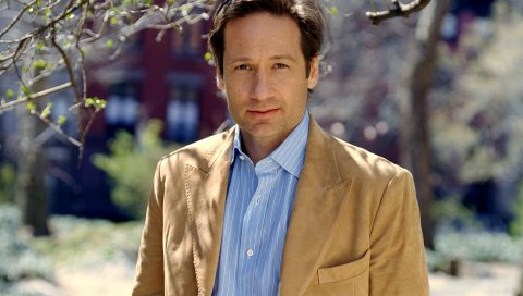 David duchovny, мужчина, актер, брюнет, куртка, рубашка