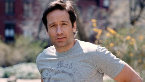 David duchovny, рубашка, мужчина, улица, брюнетка, актер